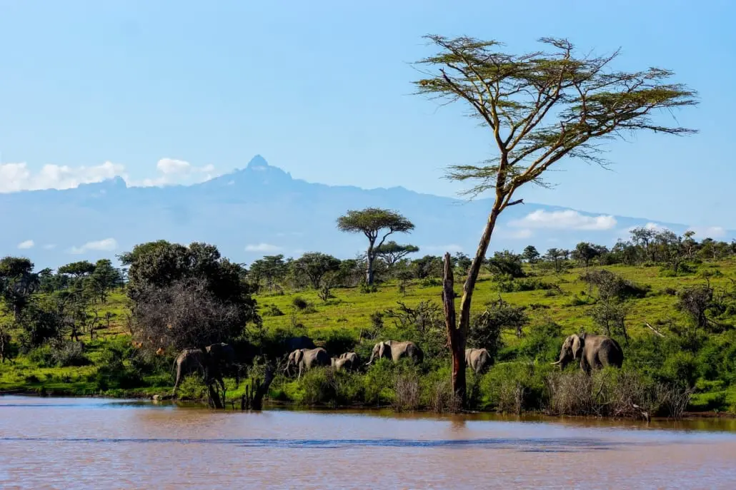 Aberdare- Lake Nakuru National Park